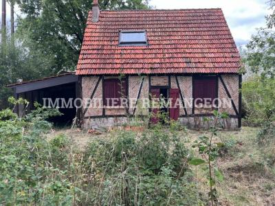 Vente Maison DHUIZON 41220