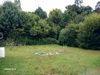 Vente Appartement 3 pices VALENTIGNEY 25700