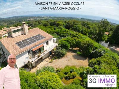 Vente Maison 8 pices SANTA-MARIA-POGGIO 20221
