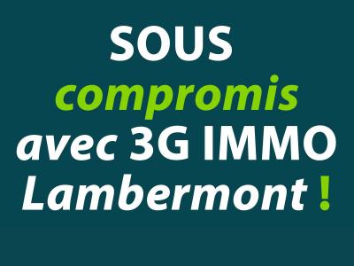 Vente Maison 6 pices HERSERANGE 54440
