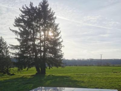 Vente Terrain BIENVILLE-LA-PETITE 54300