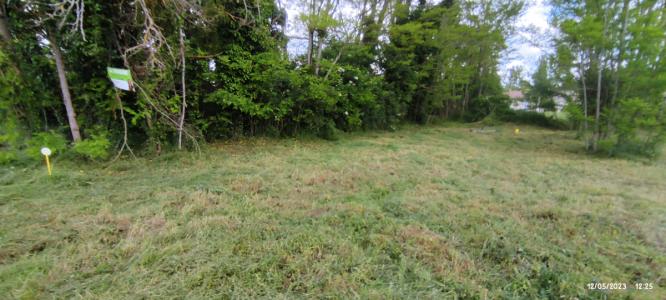 Vente Terrain LANGON 33210