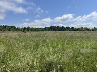 Vente Terrain BAZAS 33430