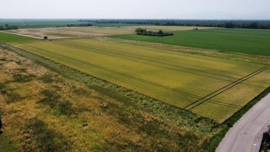 Vente Terrain NEUF-BRISACH 68600