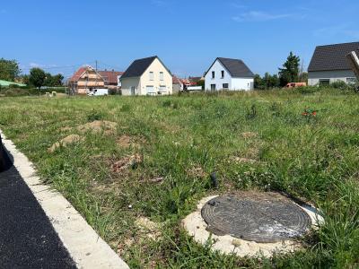 Vente Terrain MUNWILLER 68250