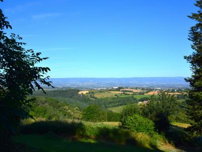 Vente Terrain SAINT-HEAND 42570