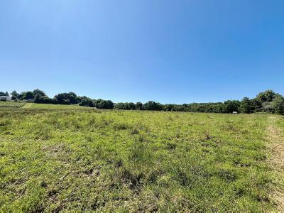 Vente Terrain LAHOURCADE 64150