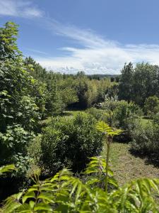 Vente Maison LABASTIDE-D'ANJOU 11320