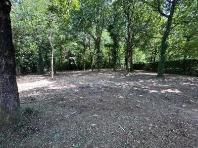 Vente Terrain MATHES 17570