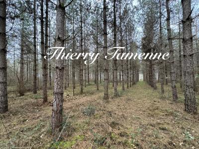 Vente Terrain BARBASTE 47230