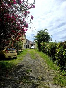Vente Maison 5 pices GOSIER 97190