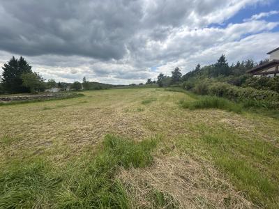 Vente Terrain VALPRIVAS 43210