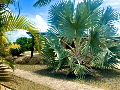 Vente Maison 4 pices ANSE-BERTRAND 97121