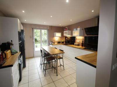 Vente Maison 14 pices SAINT-NABORD 88200