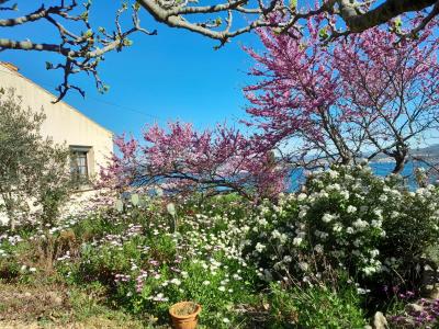 Vente Maison 7 pices SETE 34200
