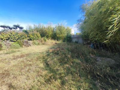Vente Terrain BOUZIGUES 34140