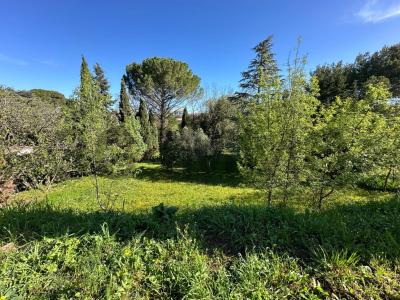 Vente Terrain MARGON 34320