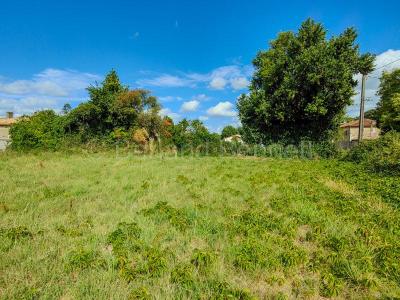 Vente Terrain SAUZE-VAUSSAIS 79190