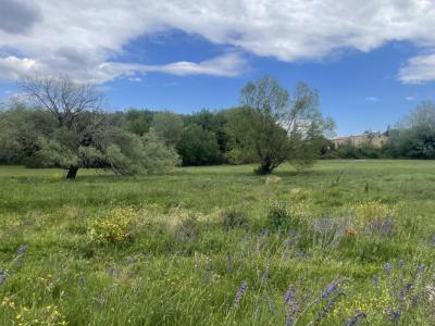 Vente Terrain MALATAVERNE 26780