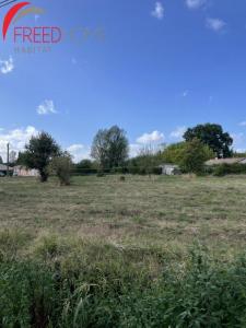 Vente Terrain SAINT-CHRISTOLY-DE-BLAYE 33920