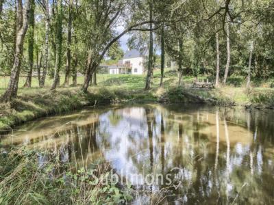 Vente Maison 6 pices PEAULE 56130
