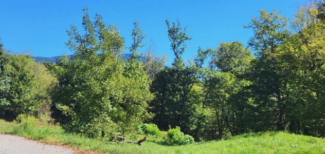 Vente Terrain QUEIGE 73720