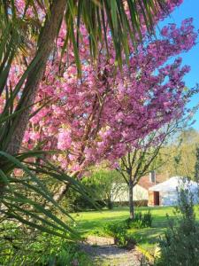 Vente Maison 11 pices BAZOGES-EN-PAREDS 85390