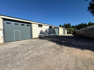 Location Commerce SAINT-MARTIN-DE-CRAU 13310