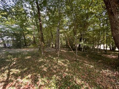 Vente Terrain MARSAC-SUR-L'ISLE 24430