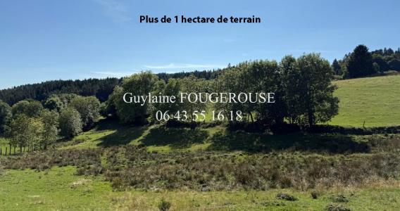 Vente Maison 8 pices CHAPELLE-EN-LAFAYE 42380