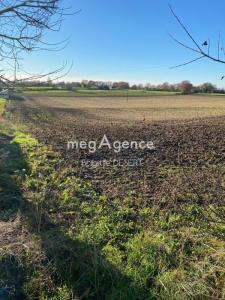 Vente Terrain NOGENT-LE-BERNARD 72110