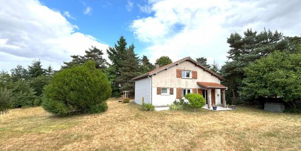 Vente Maison 3 pices LURIECQ 42380