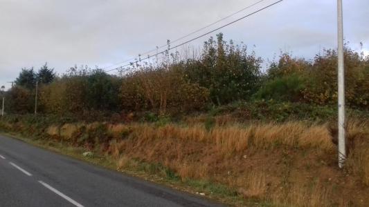 Vente Terrain NOIRETABLE 42440