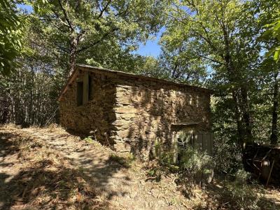 Vente Terrain LESPINASSIERE 11160