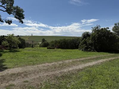 Vente Terrain NAILLOUX 31560