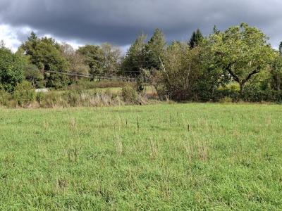 Vente Terrain COSNAC 19360