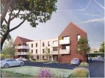 Location Appartement 2 pices VENDEVILLE 59175