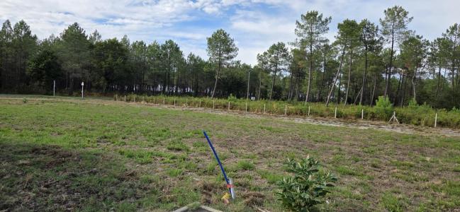 Vente Terrain PISSOS 40410