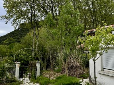 Vente Maison 4 pices SAINT-BAUZILLE-DE-PUTOIS 34190