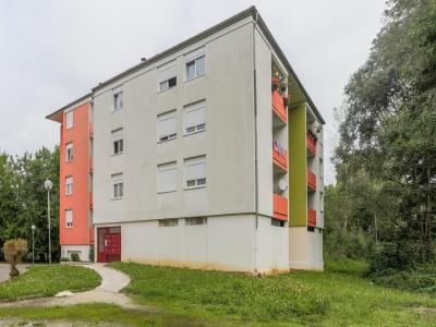 Location Appartement 4 pices WASSY 52130