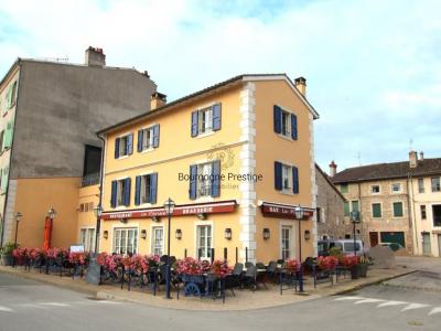 Vente Immeuble TOURNUS 71700