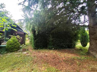Vente Terrain BEZANNES 51430