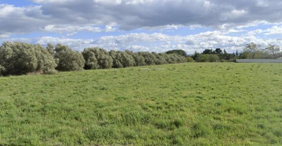Vente Maison RIEUX-MINERVOIS 11160