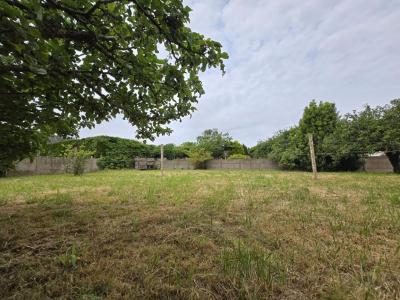 Vente Terrain BELZ 56550