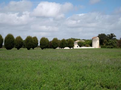 Vente Maison 8 pices SAINT-AGNANT 17620