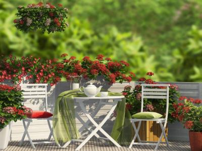 Vente Appartement 3 pices PLESSIS-BOUCHARD 95130
