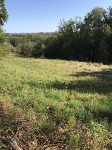 Vente Terrain NOAILLES 19600