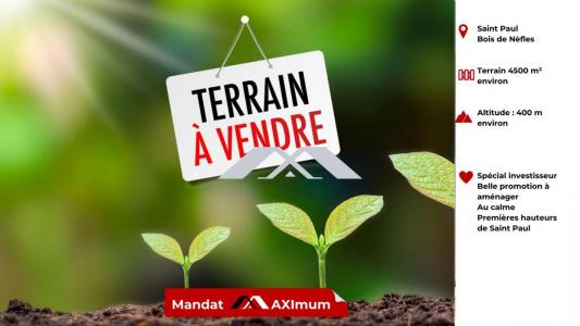 Vente Terrain BOIS-DE-NEFLES-SAINT-PAUL 97411
