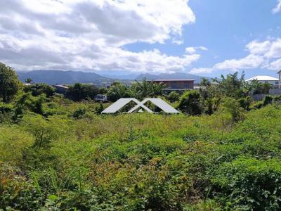 Vente Terrain RIVIERE-SAINT-LOUIS 97421