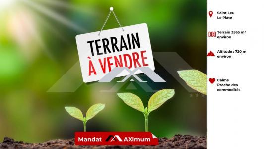 Vente Terrain PLATE 97424
